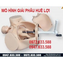 Mô hình thực tập đỡ đẻ